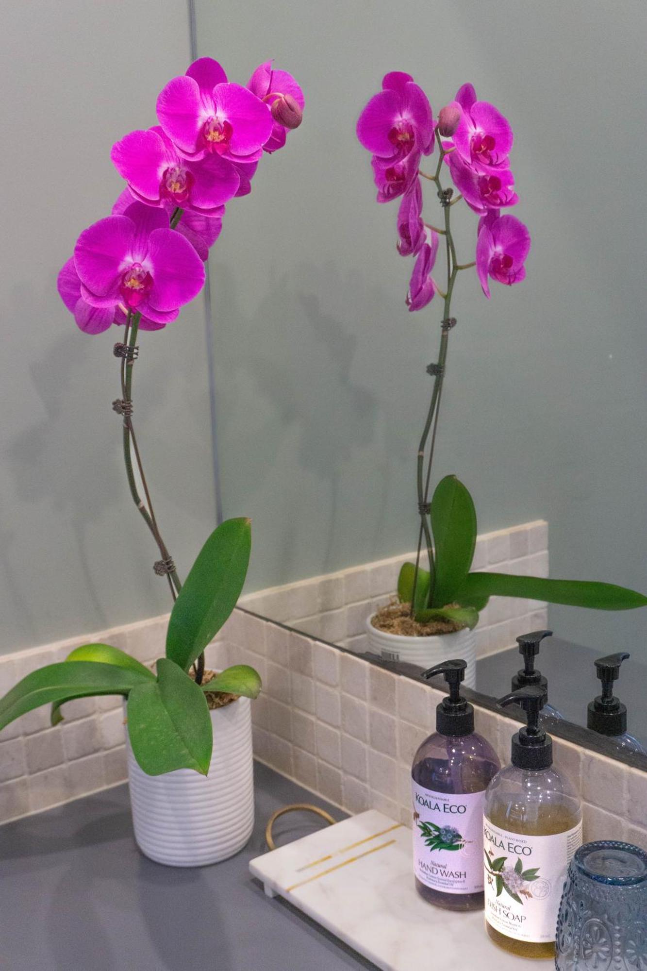 Margaret Retreat Pet Friendly Unit Villa Margaret River Ngoại thất bức ảnh